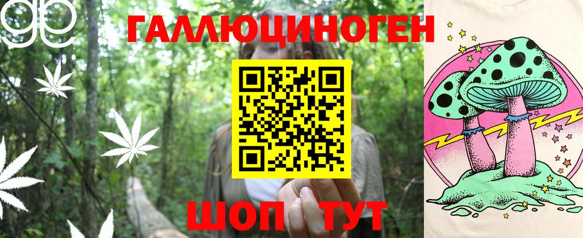 Новошахтинск  наркота  Вход с VPN  Псилоцибиновые грибы мухоморы 