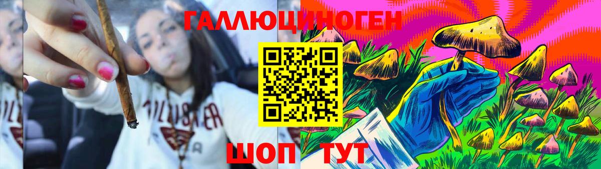 Псилоцибиновые грибы прущие грибы Новошахтинск